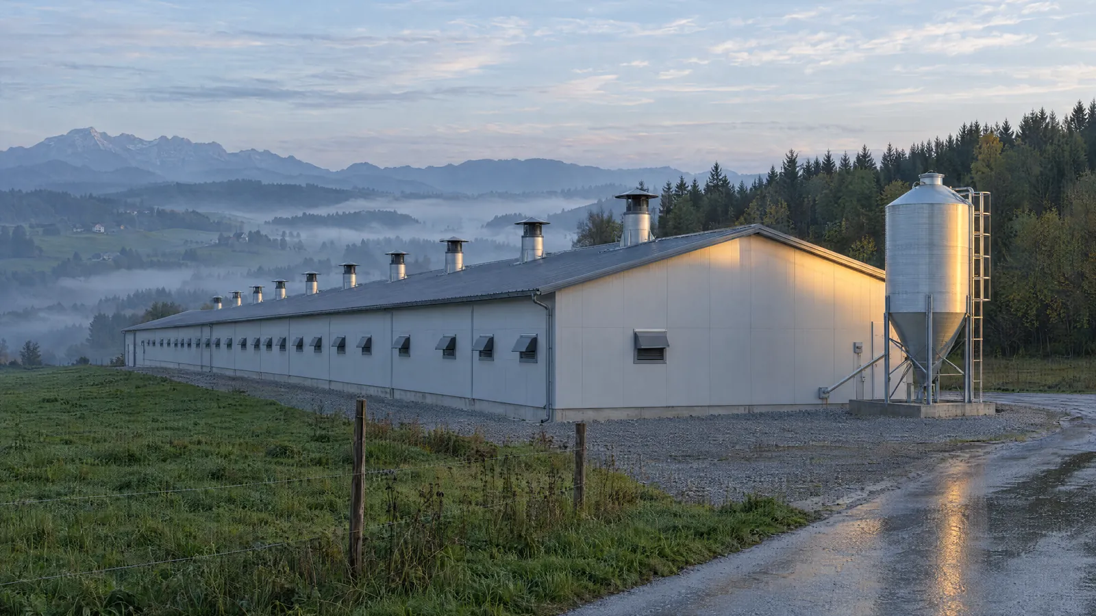 Dolg enonadstropni perutninski hlev ob zori med zelenimi griči, ob čelu hleva silos za krmo, v dolini jutranja megla.